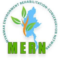 MERN Logo