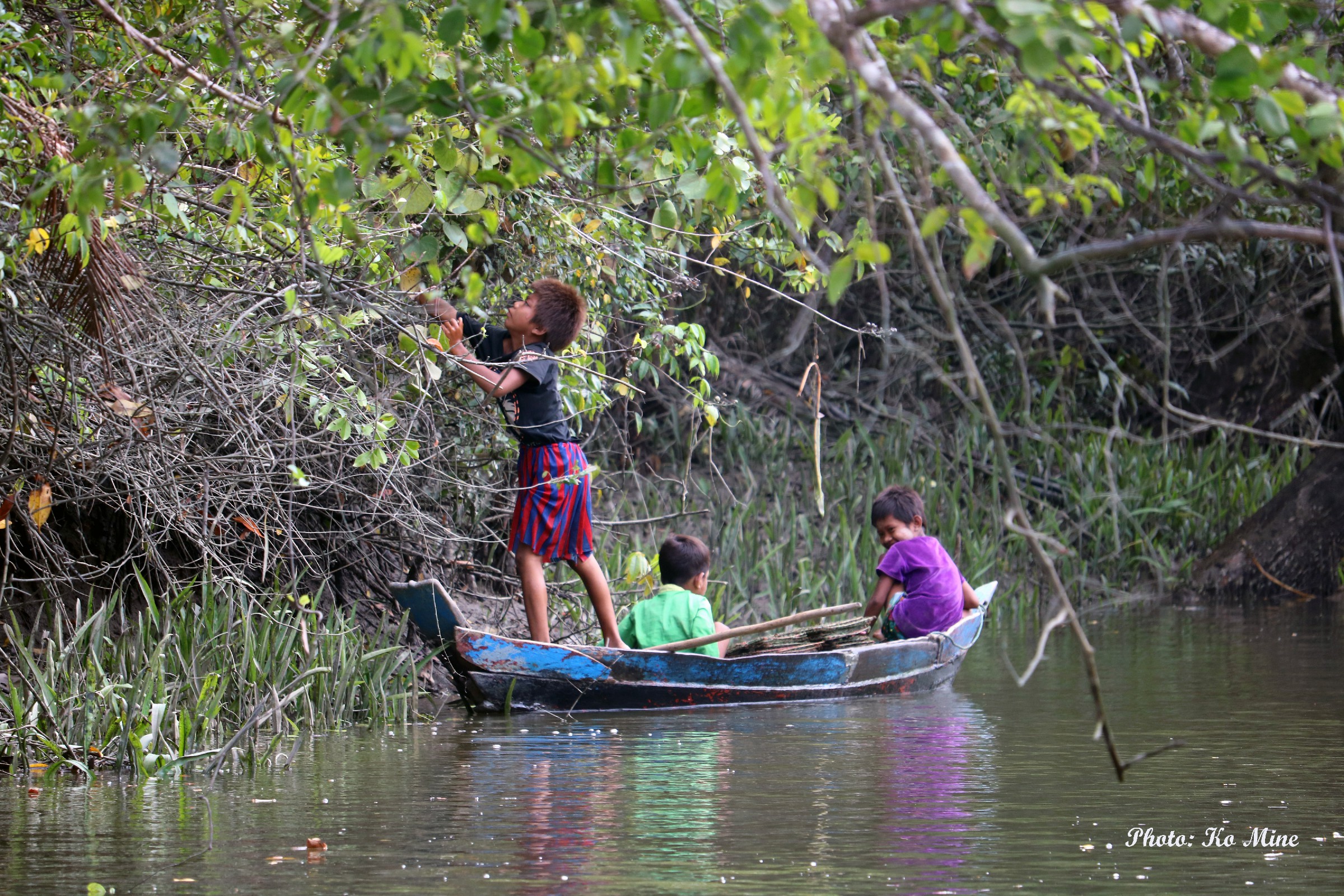 Ayeyarwady